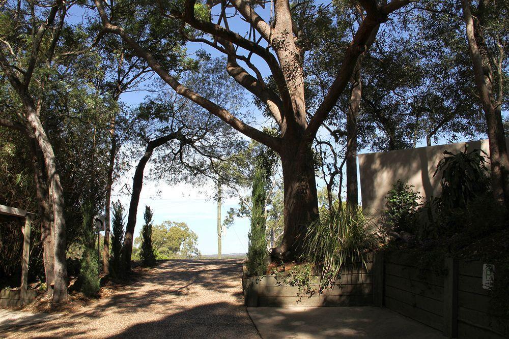 Arabella Guesthouse Alexandra Headland Eksteriør billede