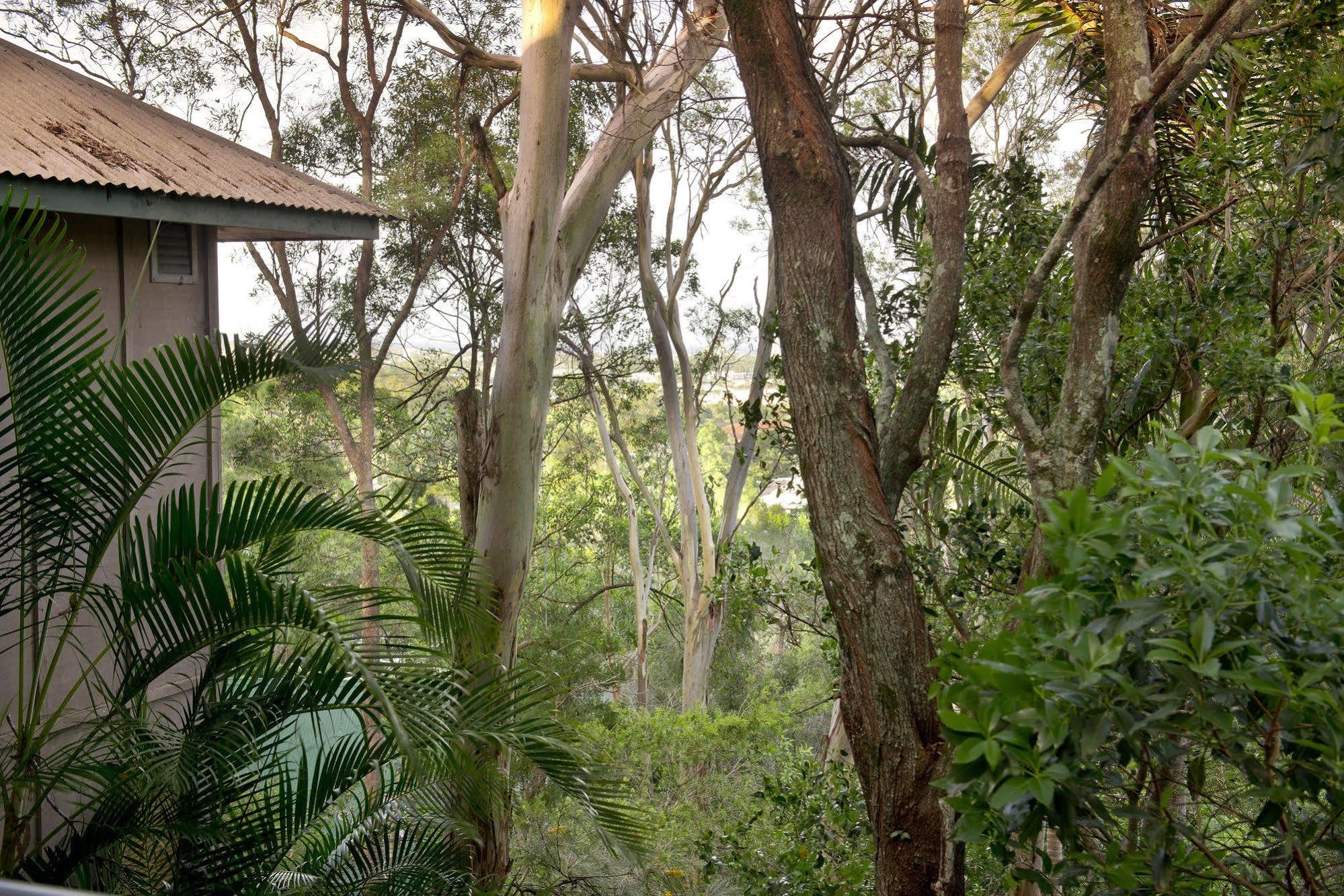 Arabella Guesthouse Alexandra Headland Eksteriør billede